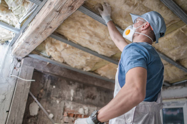 Best Blown-in Insulation  in Rosenberg, TX