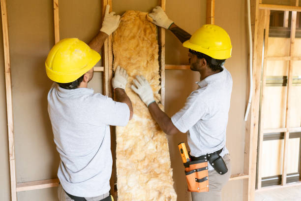 Best Insulation for New Construction  in Rosenberg, TX
